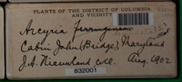 Image Associated With the Occurence